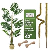 2 Pack 42'' Bendable Moss Pole Monstera Plant Support - Real Forest Moss for Climbing Indoor Plan...