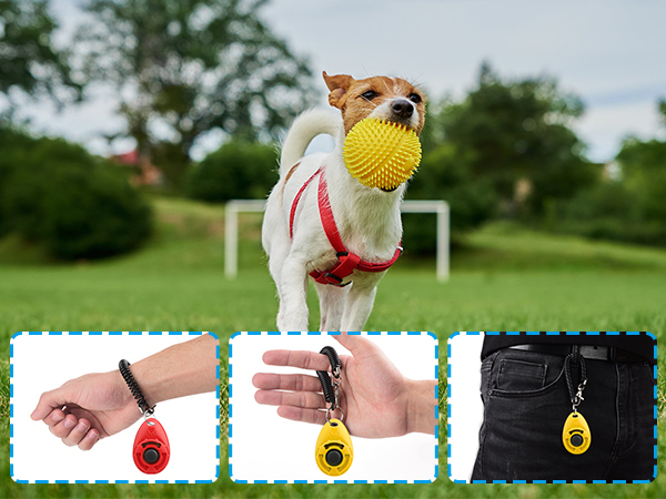 dog trainer clicker
