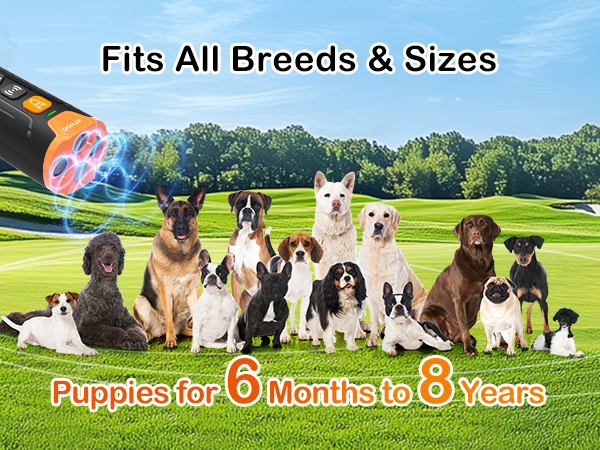 sonic bark deterrents