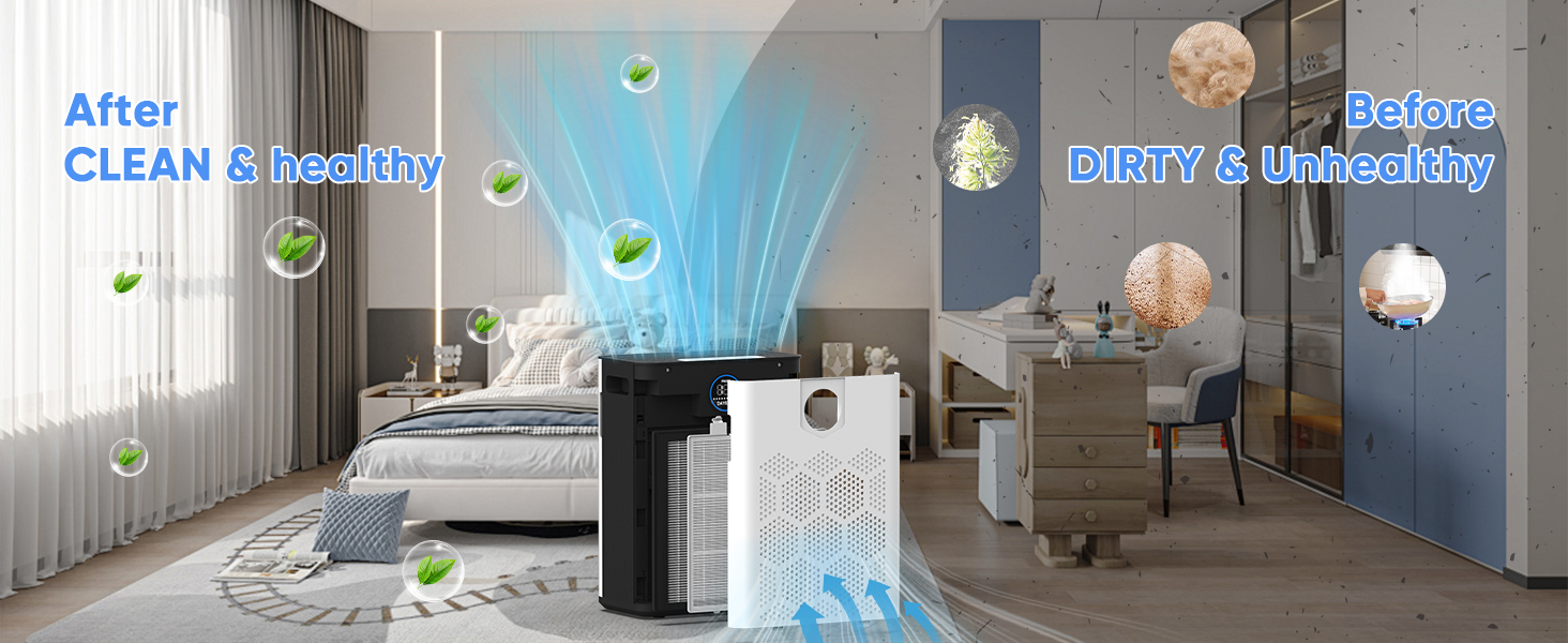 air purifier for dust