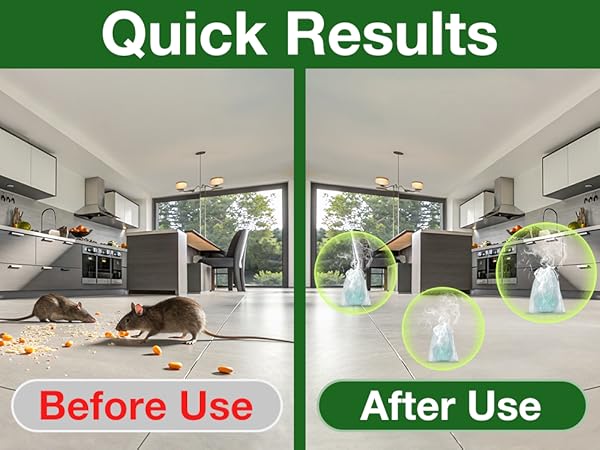 Mouse Rodent Repellent