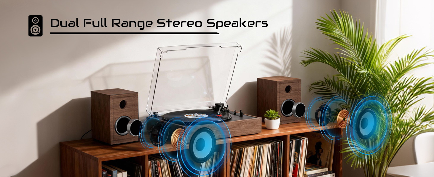 vinyl record player