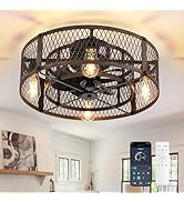 Depuley Flush Mount Ceiling Fan: 20" Caged Ceiling Fans with Lights and Remote App Control for Ki...
