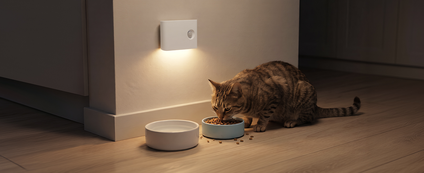 rechargeable night light