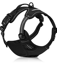 https://m.media-amazon.com/images/S/aplus-media-library-service-media/485ee163-0e47-48ac-8ee6-42aa706672f6.__CR10,0,200,225_PT0_SX200_V1___.jpg