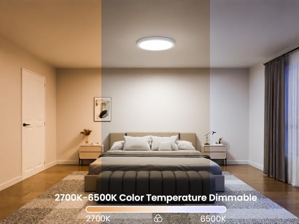 Smart Ceiling Light