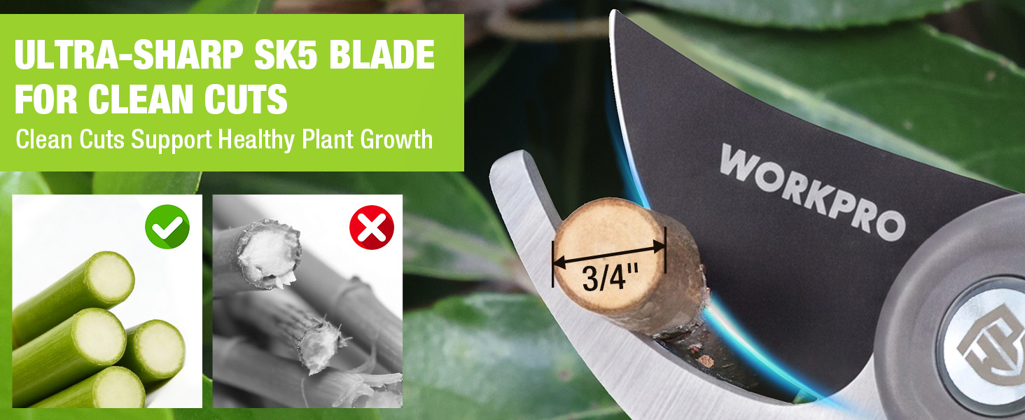 ultra-sharp sk5 blade for clean cuts