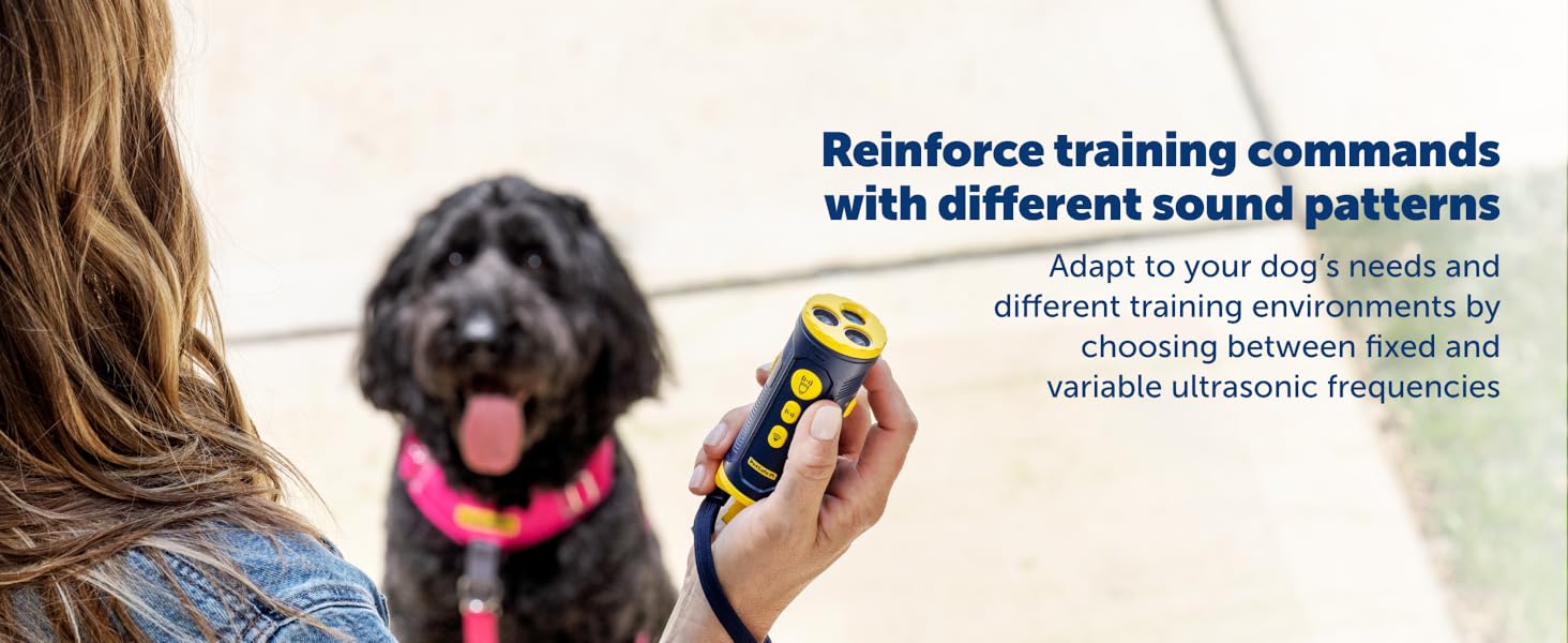 Woman trains dog using the PetSafe Collarless Trainer with ultrasonic sound options.