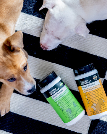 Dogs laying on carpet with Pet Life Unlimited Carpet Refresher Powder