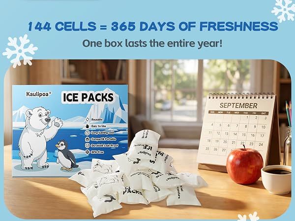 Dry ice packs
