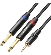TISINO 1/8 to 1/4 Stereo Cable, 1/8 Inch TRS Stereo to Dual 1/4 inch TS Mono Y-Splitter Cable 3.5...