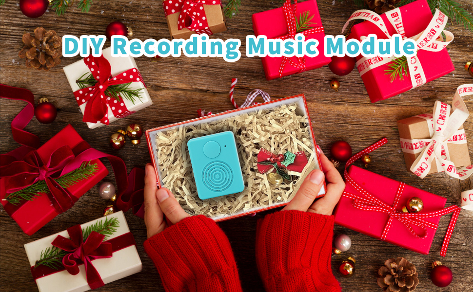 Voice Chips with Speaker