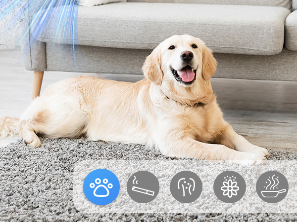 air purifiers with washable filters
