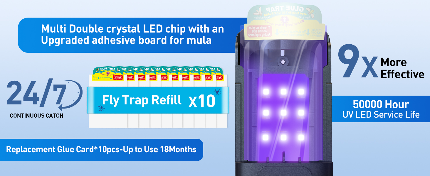 gnat traps for house indoor