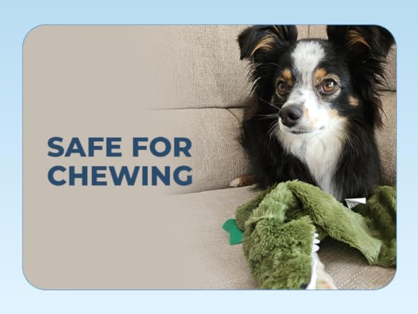 safe for chewing