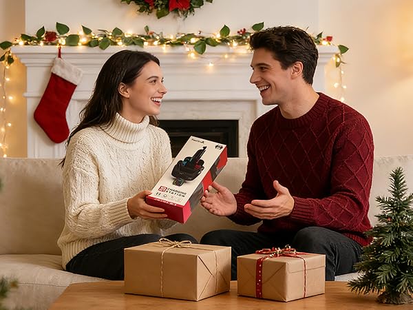 nintendo switch pro controller charger