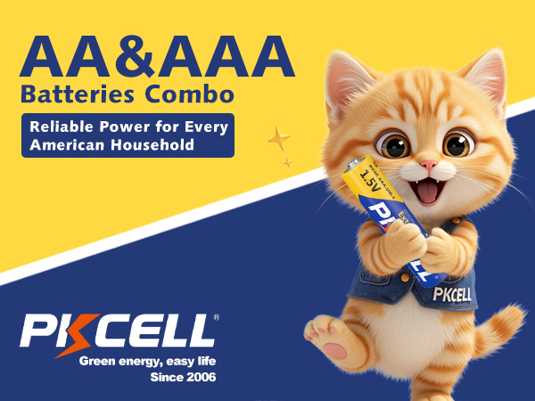 r03p r6p aa aaa battery