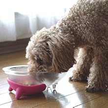 hario; coffee; dripper; tea; decanter; filter; grinder; kettle; server; barista; press; americano