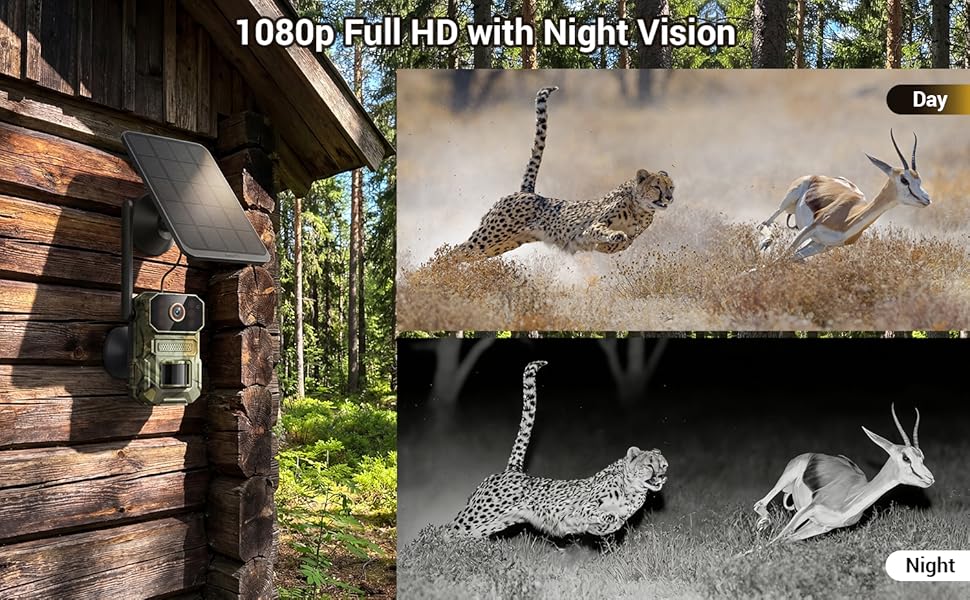 1080p wiht night vision