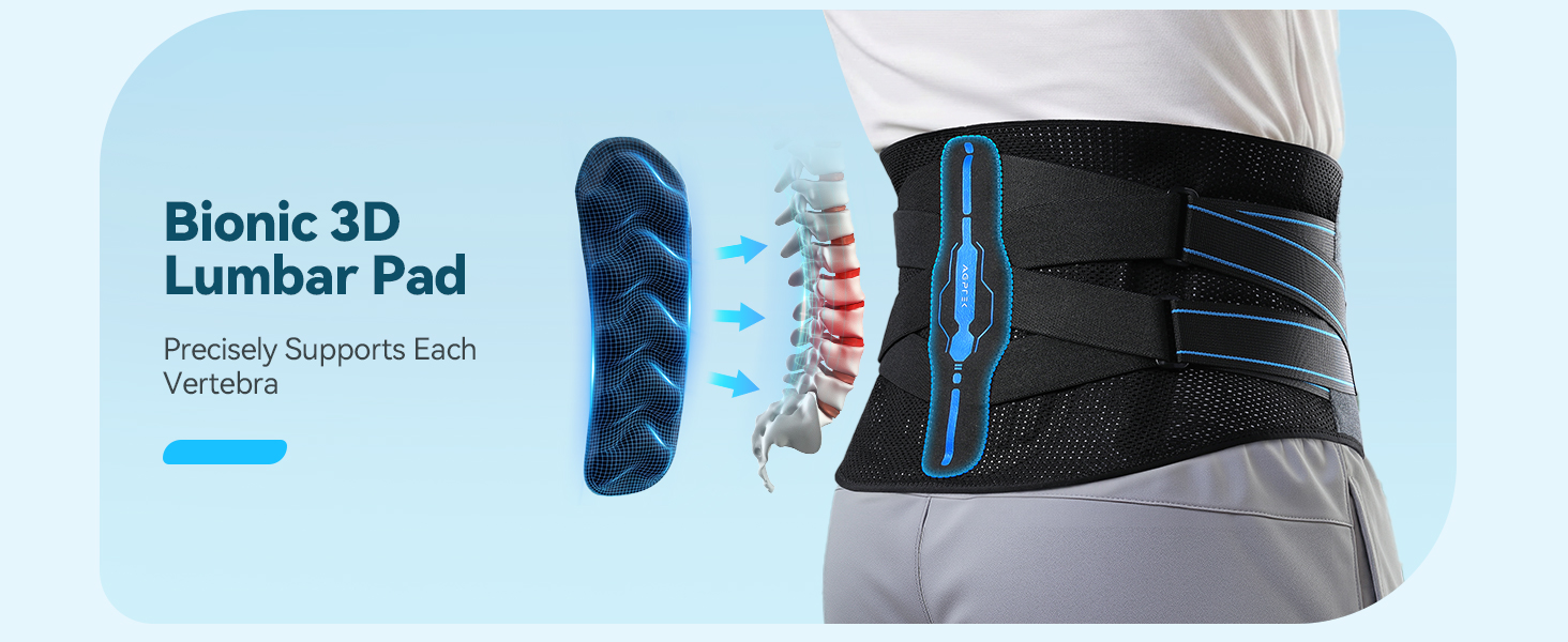 back belt support for men
