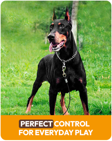 dog supplies no bark collar deterrent large small dog outdoor yard tie out stakes cable runner
