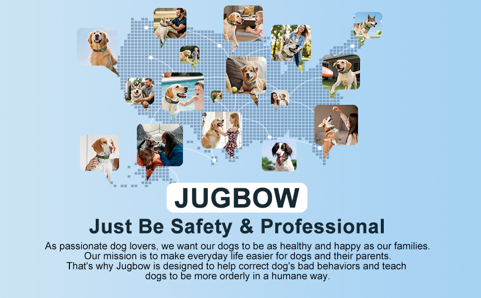 dog shock collar for large dogs