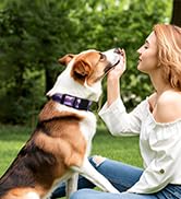dog collar