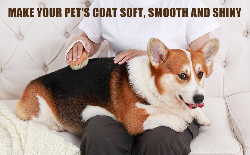 dog hair brush