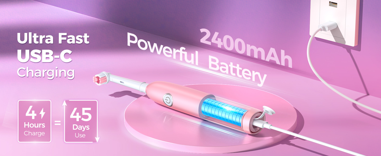 Rotating Electric Toothbrush