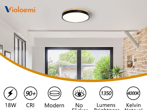 light fixtures ceiling mount