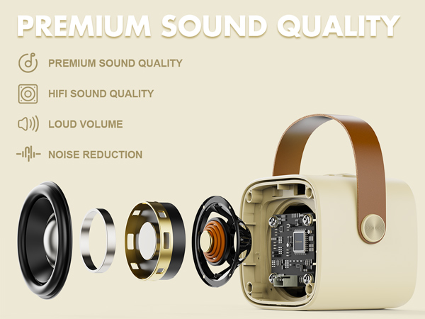 Karaoke Machine Good Sound Quality