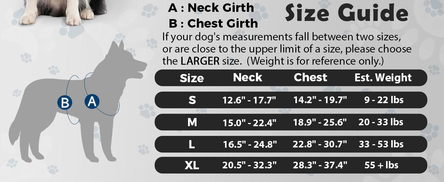 dog harness
