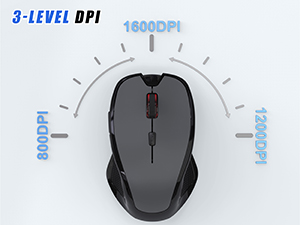 Adjustable 3-Level DPI