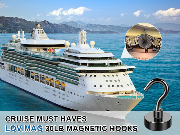 cruise magnets