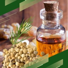 White Pepper Oil