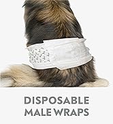 Paw Inspired, Disposable Male Dog Wraps, Belly Band for Dogs | Disposable Dog Diapers | Belly Band