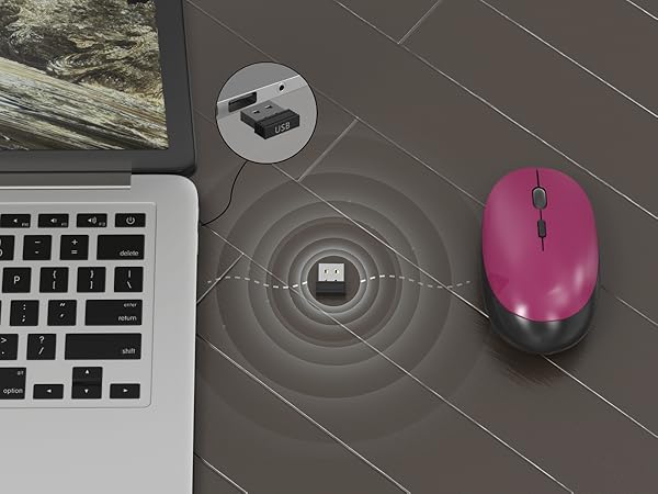 computer keyboard and mouse