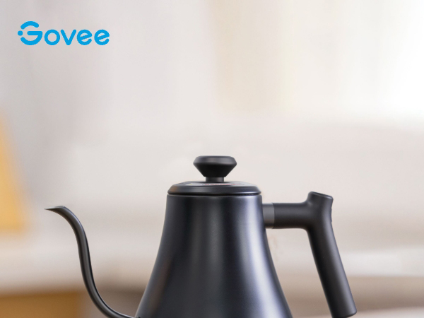 Govee Smart Electric Kettle