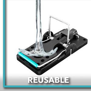 trrap compact muskrat strong blocks captsure pet feral bedroom garbage varmint proof keeping lure