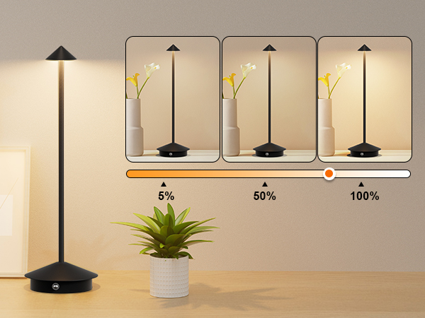 dimmable indoor outdoor lights rechargeable