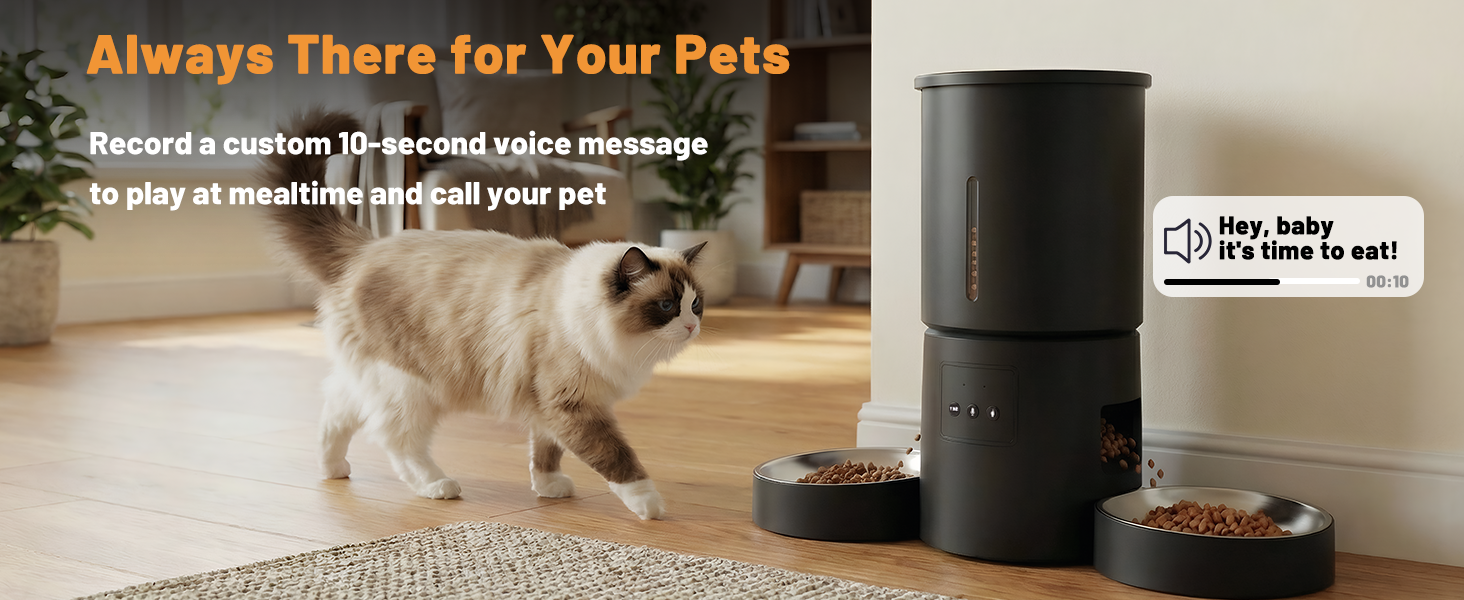 automatic cat feeders wifi