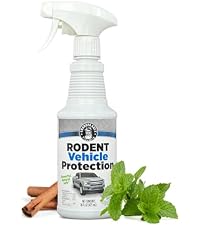https://m.media-amazon.com/images/I/31LXEVq80yL.__AC_SR200,225___.jpg