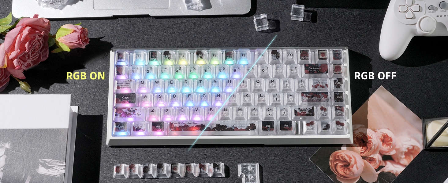 Clear Keycaps, Shine-Through Keycaps, Jelly Keycaps Cherry Profile Keycaps for Mechanical Keyboard