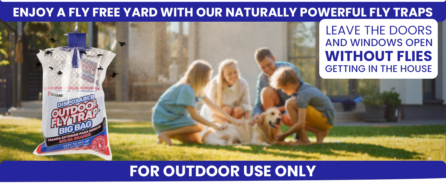 Big fly trap for outdoor use only. Enjoy a fly free yard with our naturally powerful fly catcher