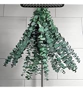 20 PCS Dried Eucalyptus Stems for Shower Hanging, 100% Made from Fresh Leaves, 17” Preserved Euca...