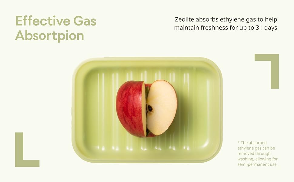 LocknLock Fresh-Block Plastic Food Storage Container | Produce Storage Containers for Fridge