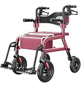 HOMLAND Walkers for Seniors with Seat, Foldable 2 in 1 Rollator Walker Wheelchair Combo, 10" All ...