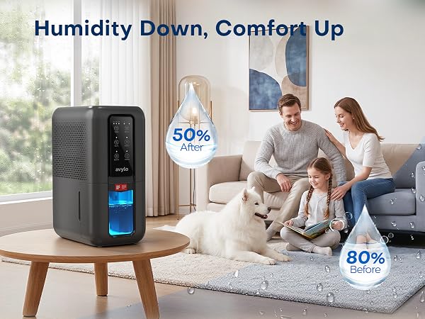 Dehumidifier