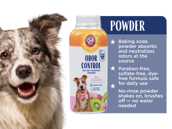 Powder