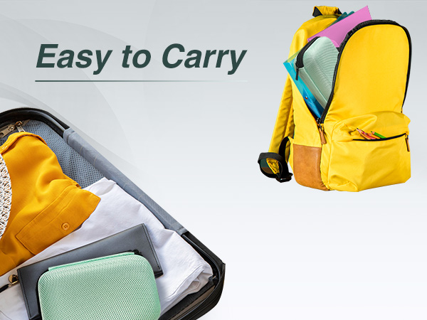 E10 label maker case